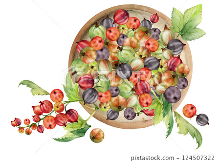Currant gooseberry clusters, leaves on ceramic dish, hand drawn in watercolor, ripe picked garden berry harvest, casseille jostaberry. Isolated illustration. Organic food branding, fresh grocery store 124507322