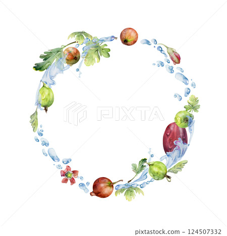 Gooseberry Currant berries wreath flying in water splash with green leaves, dew drops, ripe garden juneberry casseille jostaberry hand drawn in watercolor. Isolated circle frame. Fresh grocery store Gooseberry Currant berries wreath flying in water splash with green leaves, dew drops, ripe garden juneberry casseille jostaberry hand drawn in watercolor. Isolated circle frame. Fresh grocery store 124507332