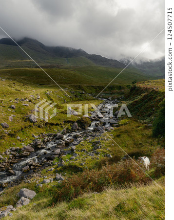 Flowing gently through the verdant landscape, the Gaddagh River showcases the natural beauty of Ireland's countryside. Lush greenery and mountains create a perfect backdrop for tranquility. 124507715