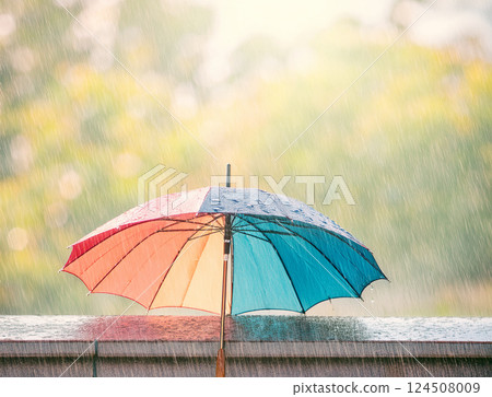 雨天的雨傘 雨天的雨傘 124508009