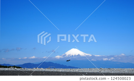 Mt. Fuji from Miho no Matsubara 124508023
