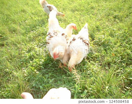 加納生活☆mar_lapin 124508458