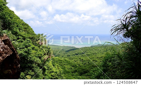 沖繩縣八重山群島西表島的遊津三段瀑佈景觀 124508647