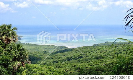 沖繩縣八重山群島西表島的遊津三段瀑佈景觀 沖繩縣八重山群島西表島的遊津三段瀑佈景觀 124508648
