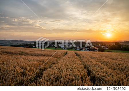 Eifel landscape, North Rhine Westphalia, Germany 124508692