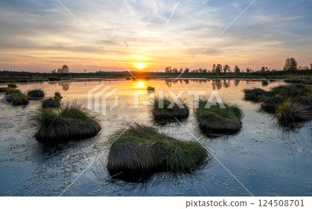 High Fens, Eifel, Belgium 124508701