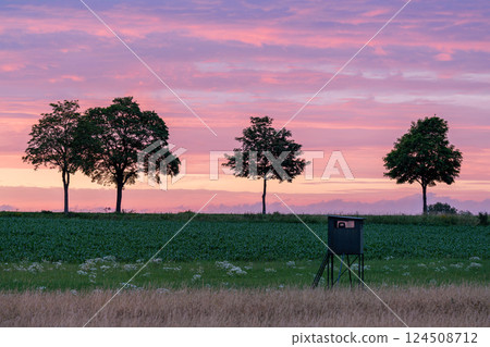 Eifel landscape, Rhineland-Palatinate, Germany Eifel landscape, Rhineland-Palatinate, Germany 124508712
