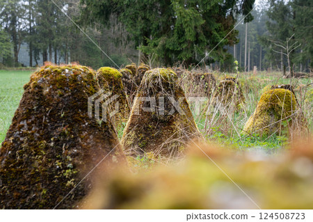 Westwall, Eifel, North Rhine Westphalia, Germany 124508723