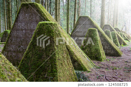 Westwall, Eifel, North Rhine Westphalia, Germany 124508725