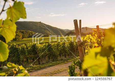 Dernau, Ahr, Rhineland-Palatinate, Germany Dernau, Ahr, Rhineland-Palatinate, Germany 124508767