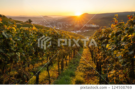 Bad Altenahr, Ahr, Rhineland-Palatinate, Germany 124508769