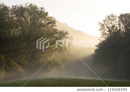 Eifel landscape, Rhineland-Palatinate, Germany Eifel landscape, Rhineland-Palatinate, Germany 124508789