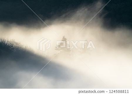 Eifel landscape, Rhineland-Palatinate, Germany 124508811