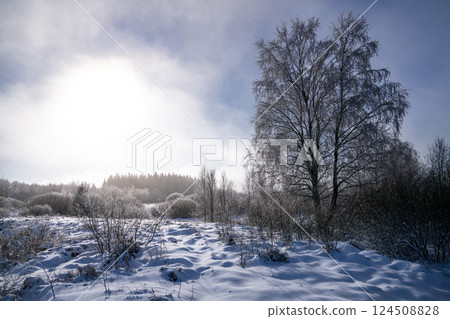 Wintertime in High Fens, Eifel, Belgium 124508828