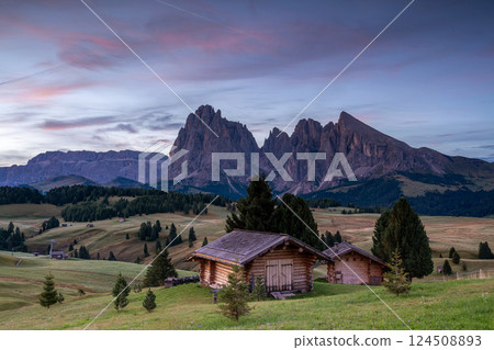 South Titol, Dolomite Alps, Italy, Europe 124508893