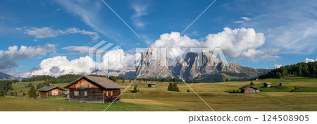 South Titol, Dolomite Alps, Italy, Europe 124508905