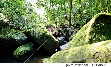 沖繩縣西表島由珍川風景 沖繩縣西表島由珍川風景 124508913