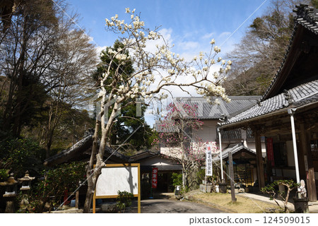 大法寺,位於南知多市的一座木蘭寺廟 大法寺,位於南知多市的一座木蘭寺廟 124509015