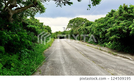 沖繩縣八重山群島竹富島的外圍道路 124509195