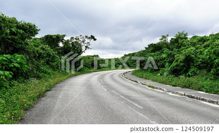 The perimeter road of Taketomi Island in the Yaeyama Islands, Okinawa Prefecture 124509197
