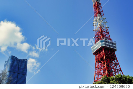 Mori Building and Tokyo Tower 124509630