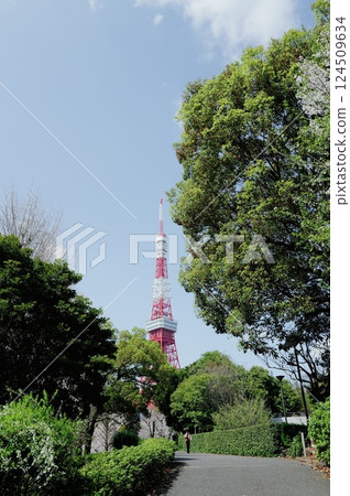 Fine weather in Tokyo Tower 124509634