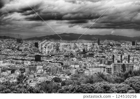 Aerial cityscape view of Barcelona, Catalonia, Spain 124510256