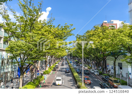 Tokyo Shibuya cityscape Omotesando Tokyo Shibuya cityscape Omotesando 124510840