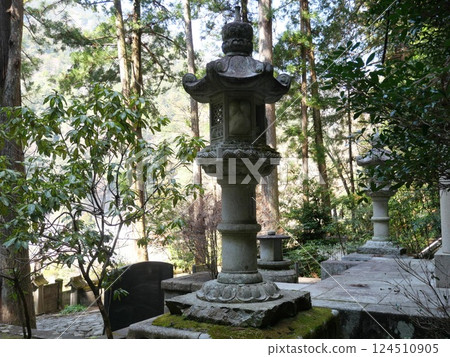 Lantern Lantern Lantern 124510905