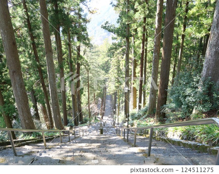 長樓梯路徑 124511275