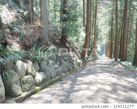 Approach and stone wall 124511277