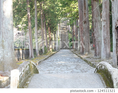 Path and stairs 124511321