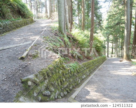 The approach to the slope 124511322
