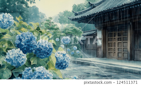 Rain falls on a quiet temple in an ancient city and colorful hydrangeas bloom in a Japanese-style watercolor illustration 124511371