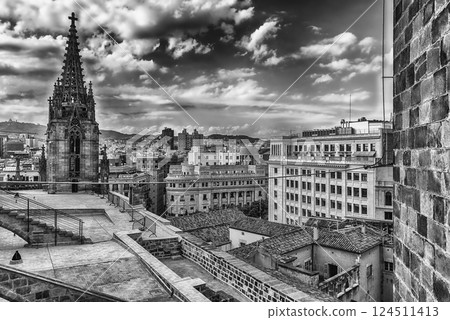 Panoramic view from the top of Barcelona Cathedral, Catalonia, Spain Panoramic view from the top of Barcelona Cathedral, Catalonia, Spain 124511413