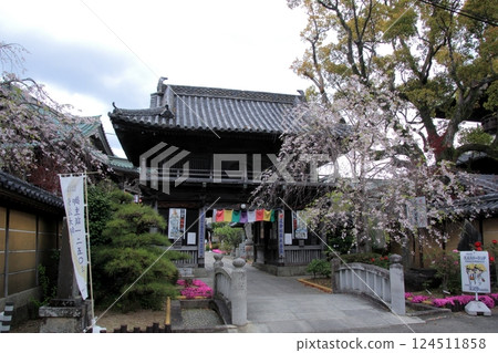 Shikoku Shrine Place No. 19 Buddhist temple "Eizoji" Niimon gate 124511858