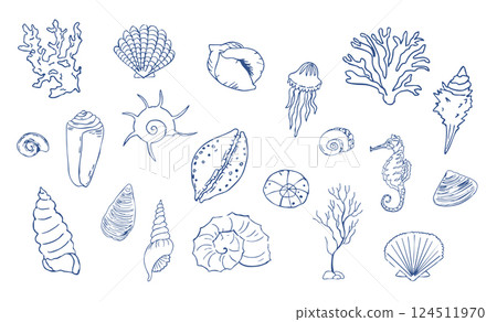 Sea shell sketch ocean life hand drawn illustration. Outline modern style, summer, vacation, beach design elements. Coral and seaweed, starfish line.  124511970
