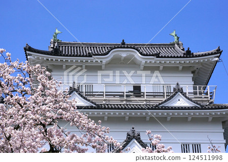 城堡櫻花 城堡櫻花 124511998