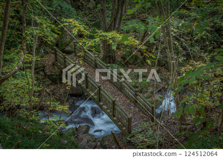 瀧澤溪谷風景 瀧澤溪谷風景 124512064
