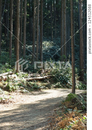 (Minna no Mori) 002 (Minna no Mori) 002 124512088