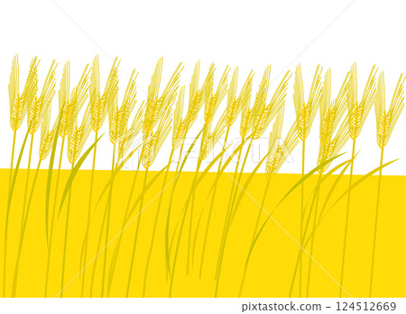 一幅以收穫季節的麥田風景為主題的插畫 124512669