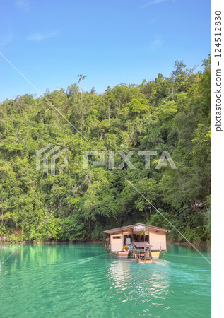 View of the Loboc river, one of the main destinations on Bohol Island, Philippines. 124512830