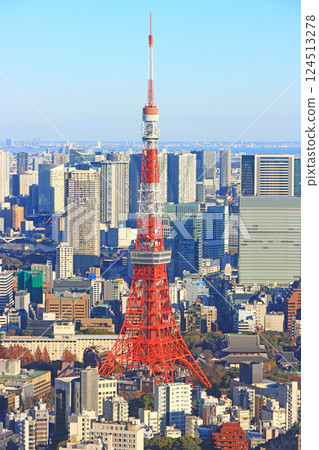 Minato-ku, Tokyo, Tokyo cityscape and Tokyo Tower scenery Minato-ku, Tokyo, Tokyo cityscape and Tokyo Tower scenery 124513278
