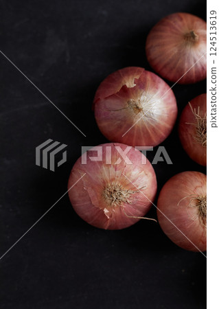 Close up of red shallot onion Close up of red shallot onion 124513619