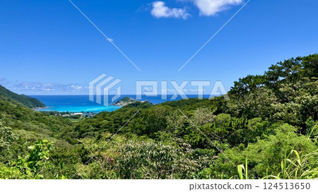 From Terayama Observatory on Tokashiki Island in the Kerama Islands, Okinawa Prefecture, to Tokashiku Beach 124513650