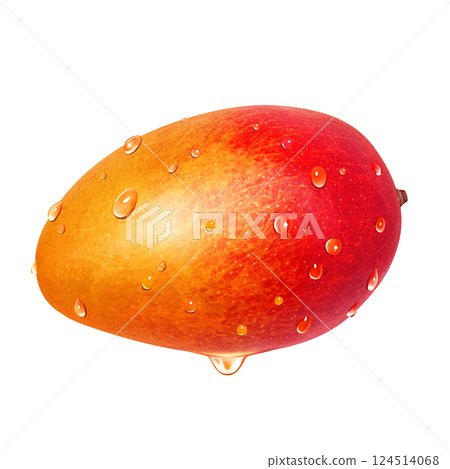 Mango illustration realistic white background 124514068
