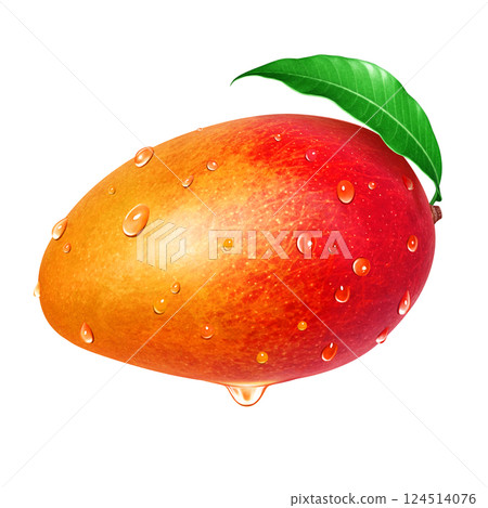 Mango illustration realistic white background Mango illustration realistic white background 124514076