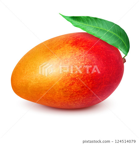 Mango illustration realistic white background 124514079
