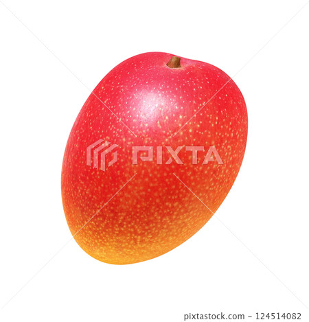 Mango illustration realistic white background Mango illustration realistic white background 124514082