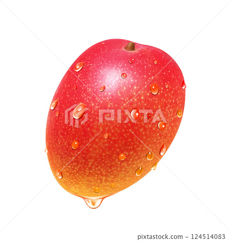 Mango illustration realistic white background 124514083